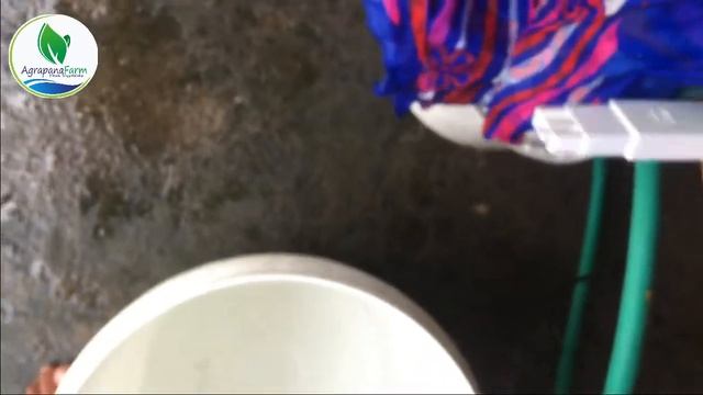 AIR BAKU HIDROPONIK WAJIB DIBAWAH 100ppm!