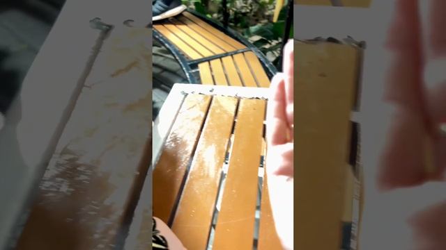 Сад огромных бабочек 🦋 смотреть онлайн