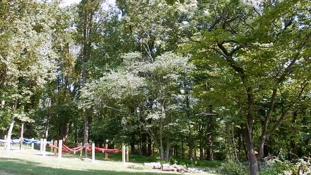 Risky Rotten Redbud Removal