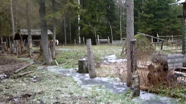 Курган - первый раз под седлом (4) смотреть онлайн