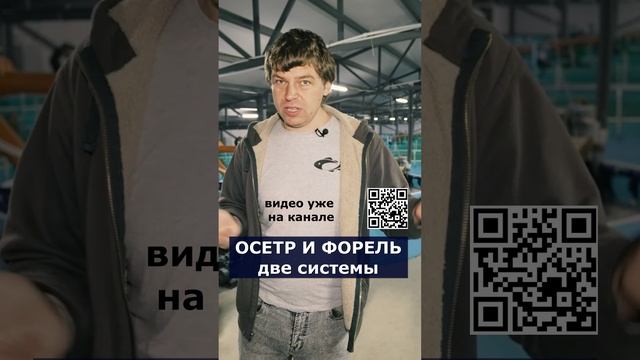 ОСЕТР и ФОРЕЛЬ. Две системы. смотреть онлайн