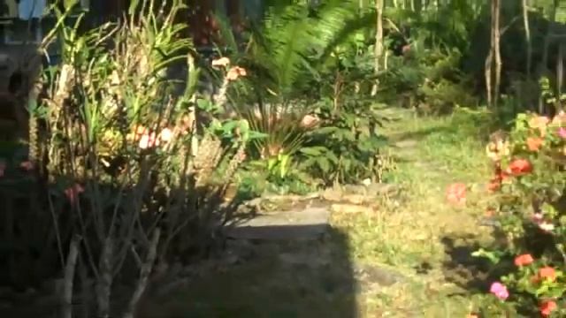 Suguidan Flores Family