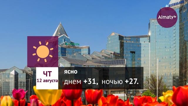 Погода в Алматы с 9 по 15 августа 2021 смотреть онлайн