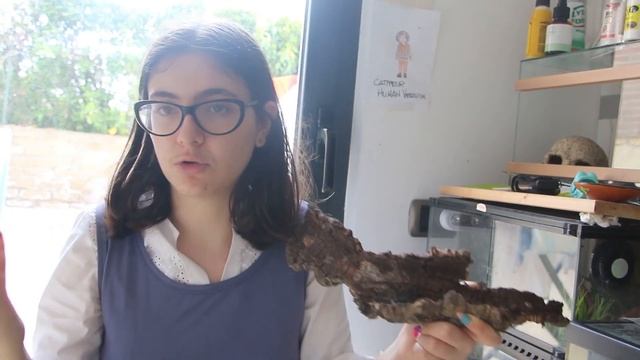 il mio nuovo animaletto: Thànatos Lorenzo il damon medius смотреть онлайн