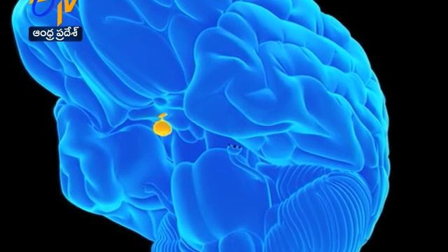 Pituitary Tumors and Latest Understanding | Sukhibhava | 19th August 2019 | ETV AP смотреть онлайн