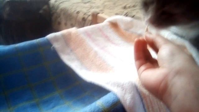 3 пранка над пушистиками снимаю для канала анука давайка смотреть онлайн