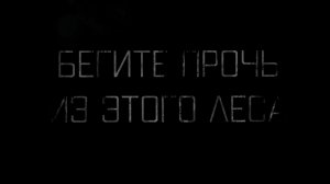 Бегите прочь из этого леса. страшные истории на ночь.