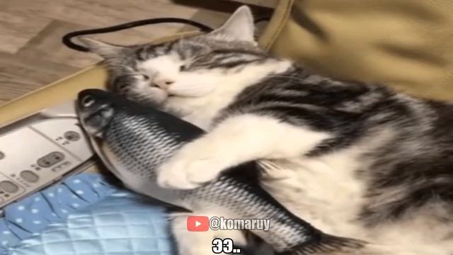 Эта песня посвящается.. смотреть онлайн