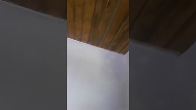 31 марта 2019 г. смотреть онлайн