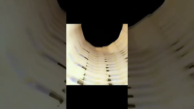 Centrosomes And Centrioles. #biology#science#animated Video##centrosomes & Centrioles#.