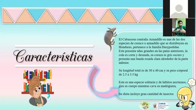Tumbo Armado / Serie - Animales en Honduras, rumbo a la extinción смотреть онлайн