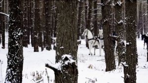 Тройка русский романс поёт Вяльцева Анастасия