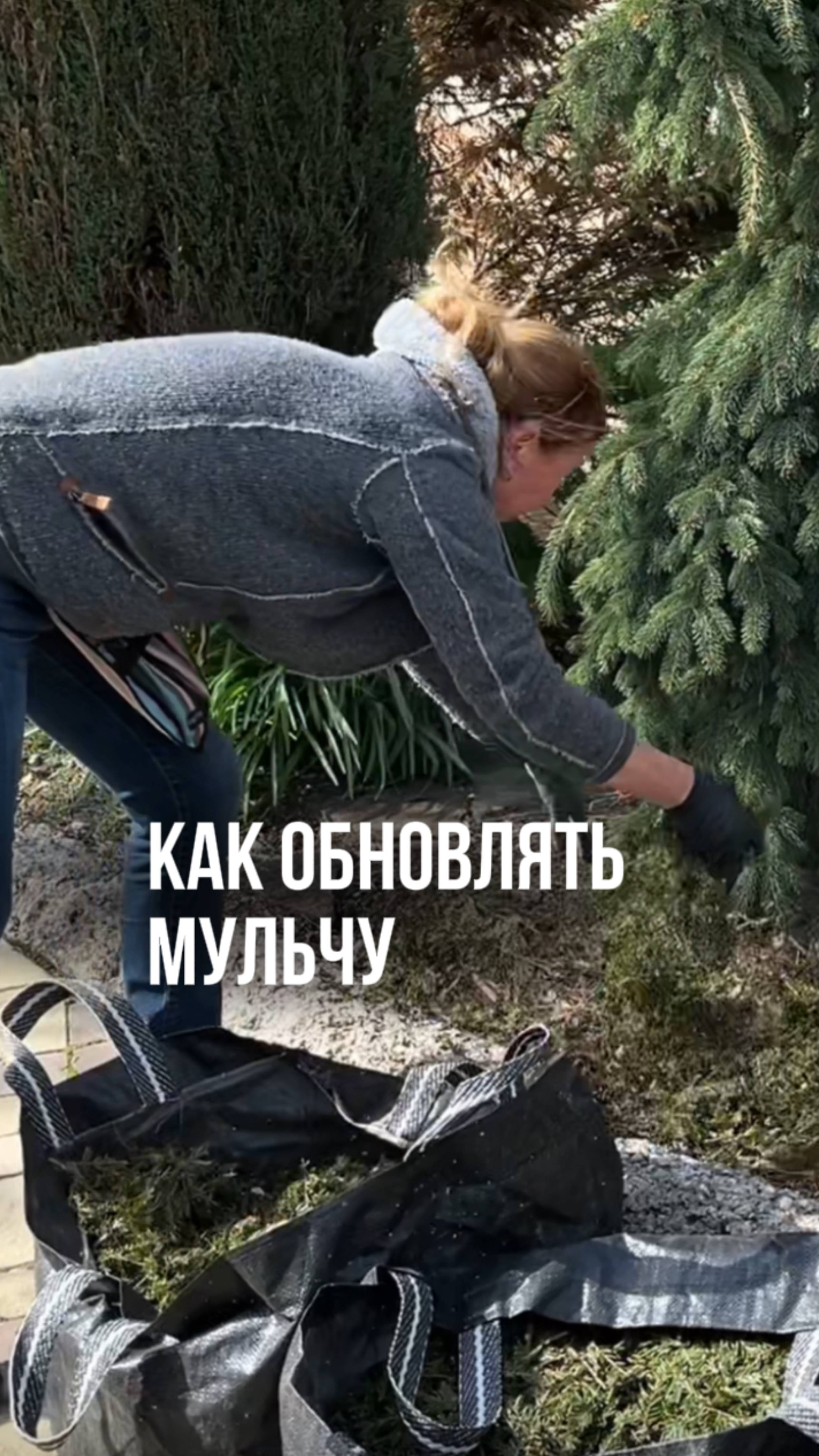 Как я обновляю мульчу, чтобы в саду было красиво. смотреть онлайн
