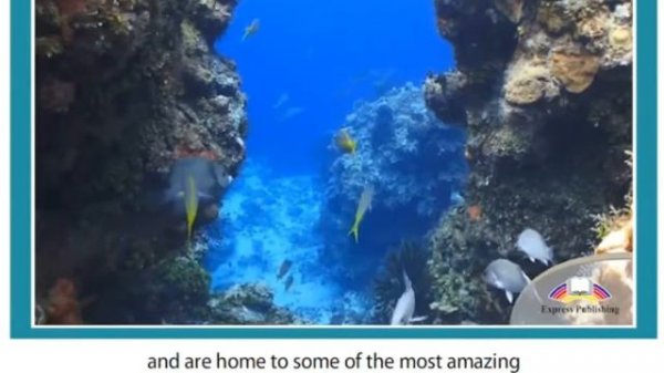 11 ASPECT. Module 2. Video 1. Ecosystems