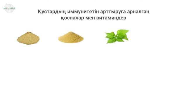 Құс өсіру - табысты бизнес пе? 1-бөлім смотреть онлайн