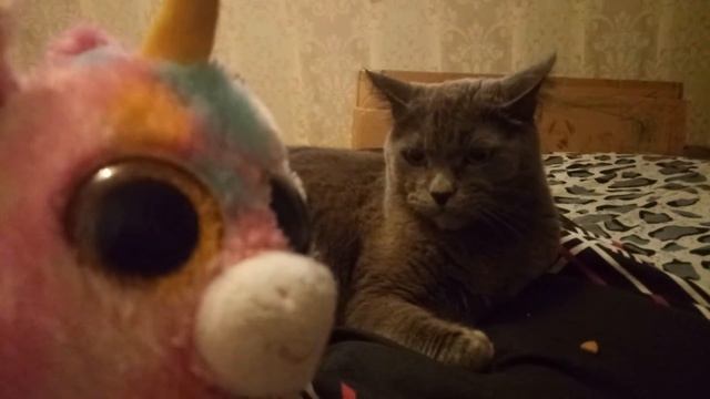Друг единорог, опять вернулся к Розе смотреть онлайн