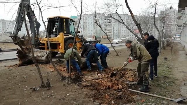 VID 20190114 143246 смотреть онлайн