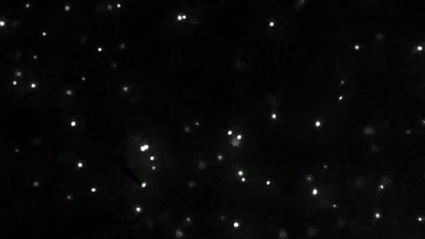 Наночастицы SiO2 в воде под ультрамикроскопом