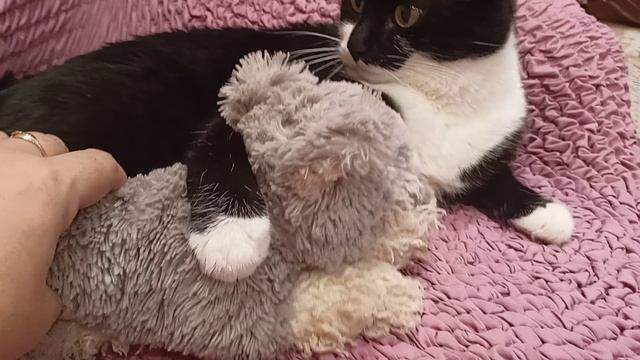 Любимая игрушка смотреть онлайн