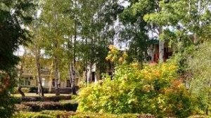 Санаторий Дубки Ульяновская область