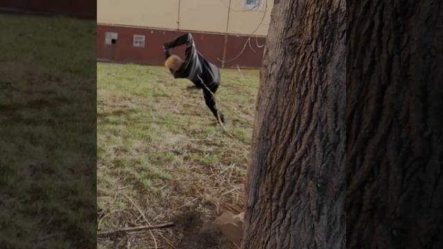 показал кондиции смотреть онлайн