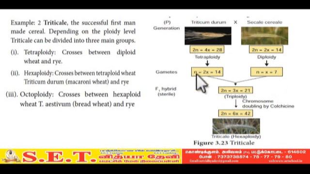 Bio Botany – Mutation (Part – 2) смотреть онлайн
