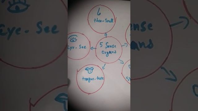 Sense Organs#short##viral Short