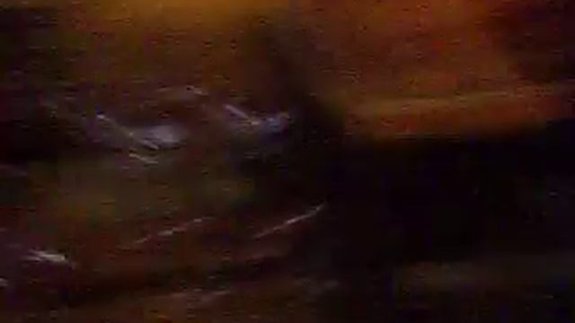 james zarina nicola смотреть онлайн