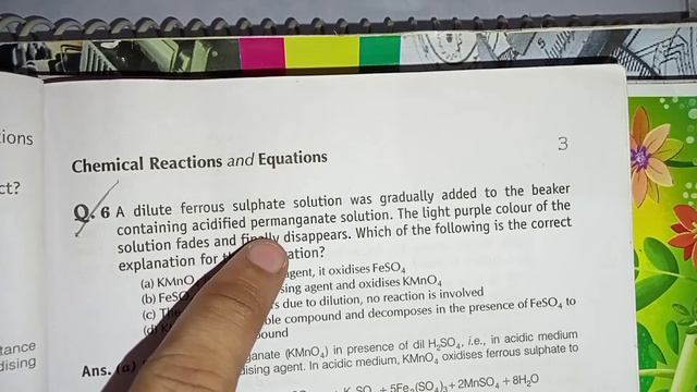 Chemical Reactions and Equations Class 10 Important Questions with Answers Science Chapter 1 part 2 смотреть онлайн