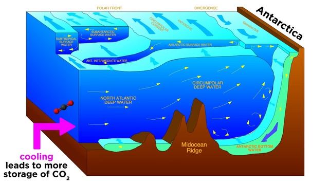History of the Earth Part 4: Phanerozoic Eon – Cenozoic Era смотреть онлайн