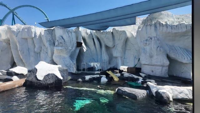 Как мы в Калифорнию за Jet Ski ездили. Шоу касаток и баня на берегу океана!