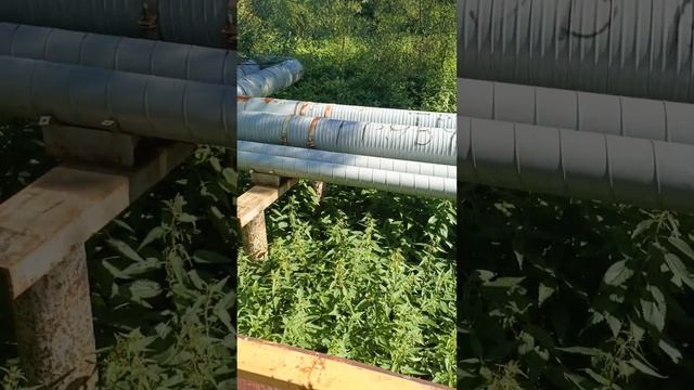 Сергиев -посад , сточные воды текут в реки и пруды, где купаются наши дети. смотреть онлайн