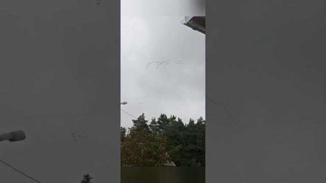19.09.22 г. Журавлей косяк... смотреть онлайн