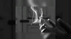 Tommy, Rogov, Rezan - Я курю