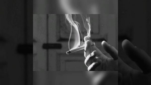 Tommy, Rogov, Rezan - Я курю