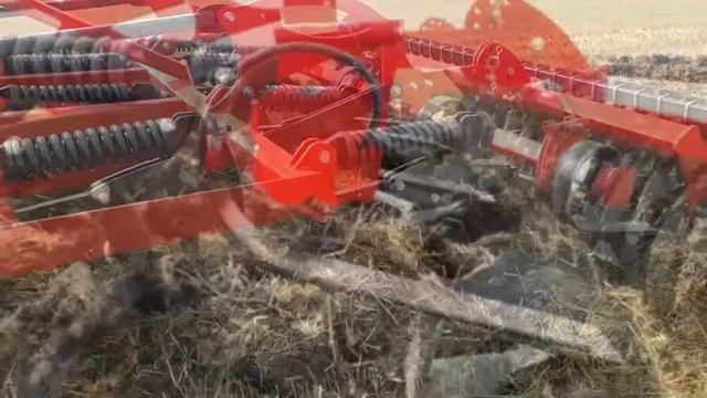 Rotor Euro/Masz  3m/11cutite