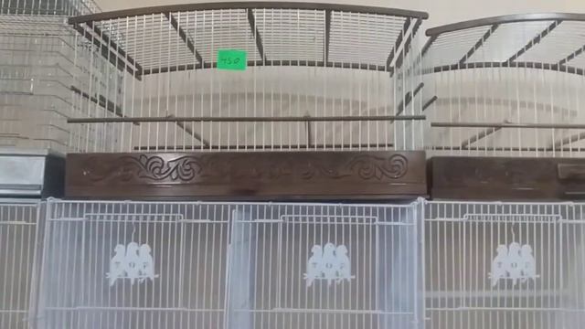 самарканд куш бозори кушлар дони хакида ажойиб малумот смотреть онлайн