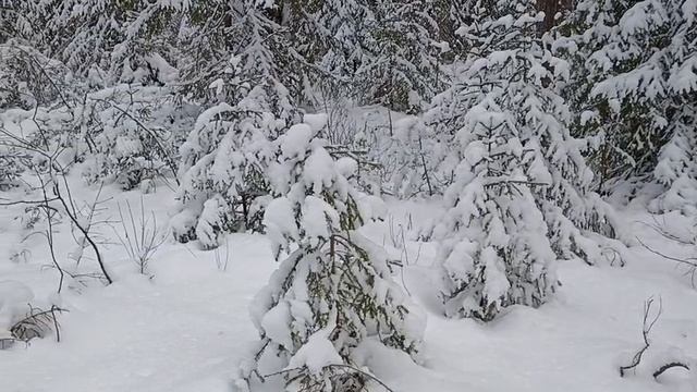 Ой, снег, снежок, белая метелица. смотреть онлайн