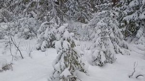 Ой, снег, снежок, белая метелица.