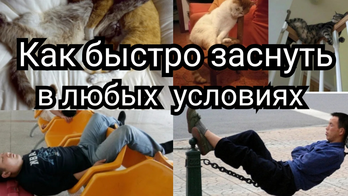 Как заснуть когда угодно и в любых условиях смотреть онлайн