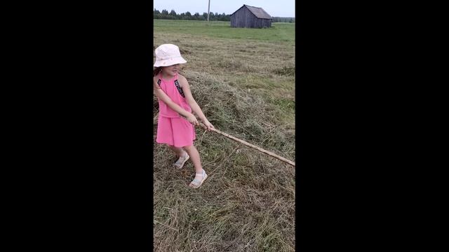 Сенокос смотреть онлайн