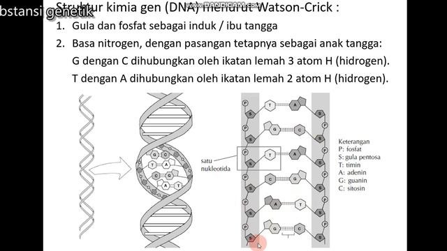 SUBSTANSI GENETIK смотреть онлайн