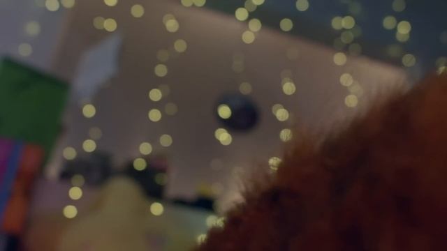 faun fawns on you! (up close)(ear massage, brain scratching)(asmr) смотреть онлайн