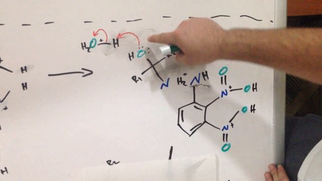 Mechanism for 2,4-Dinitrophenylhydrazone смотреть онлайн