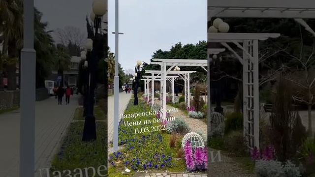 Сочи Лазаревское, цены на бензин , 11.03.2022.