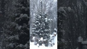 Зима холода снег растает и тогда за белой зимой ля ля ля ля ля ля ,,,,,