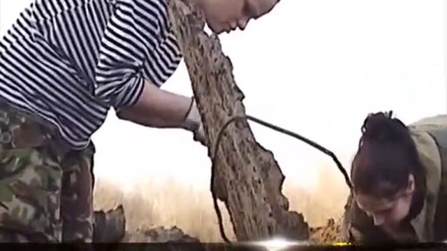 Nomination_ИСТОРИЯ ГОРОДА N-СКА смотреть онлайн