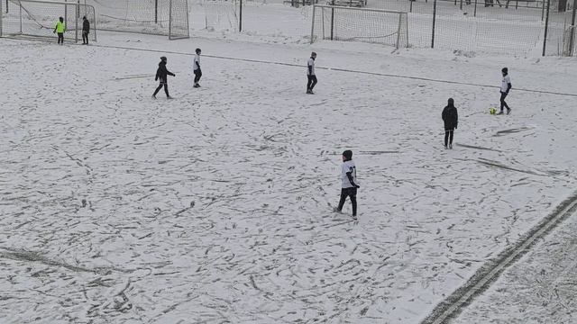 14.12.2024 г. Торпедо-Луч 2012 - 2013 2 состав смотреть онлайн