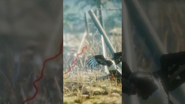 340 Шерстяная дюймовочка Unravel, Лучшее, Shorts смотреть онлайн