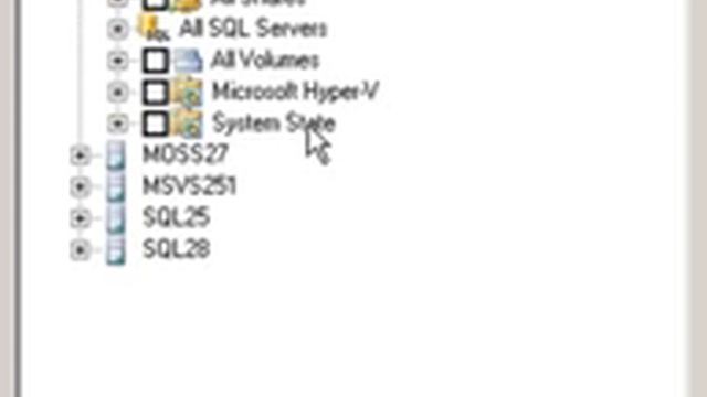 DPM 2007 SP1 -- Protecting Hyper-V 2/3 смотреть онлайн